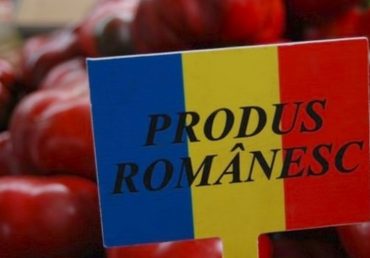 Cât de repede alegem să învățăm