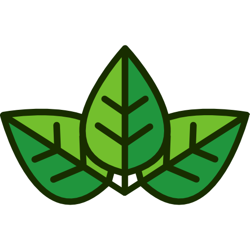 paulownia-1.png