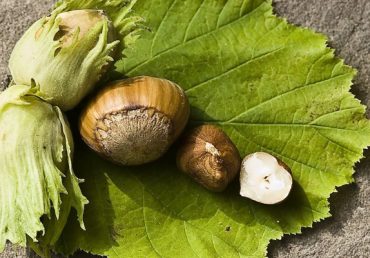 Tratamente biologice la Alun