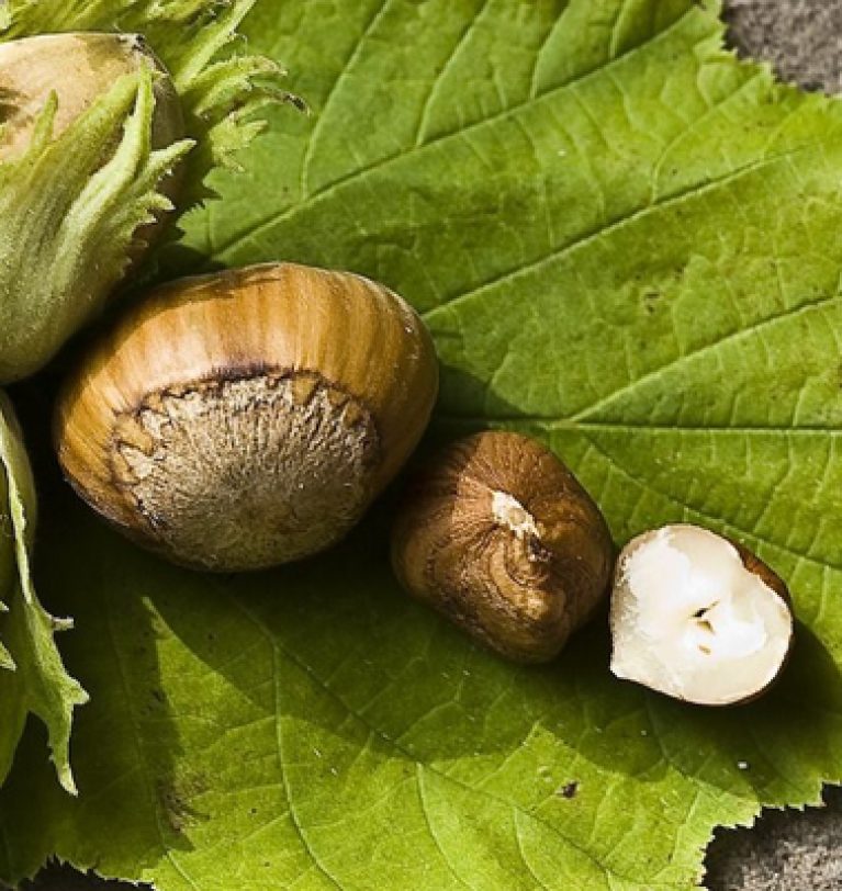 Tratamente biologice la Alun