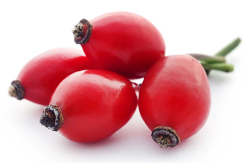 rosa-canina-maceste.jpg