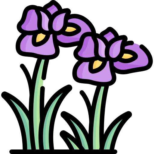 001-iris.png