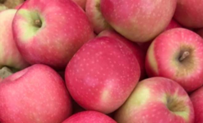 mar-new-cripps.jpg