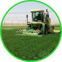 Agriculture.png