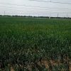 WhatsApp Image 2023-03-22 at 1.32.45 PM (5)